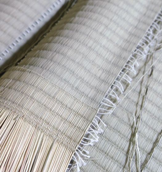 写真：中国産のいぐさ